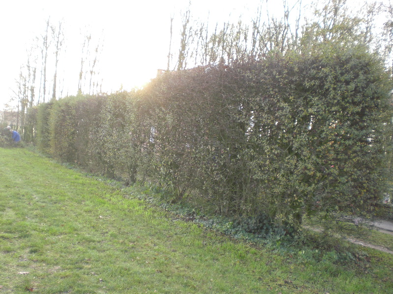 CIMG0084