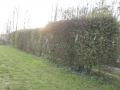 CIMG0084