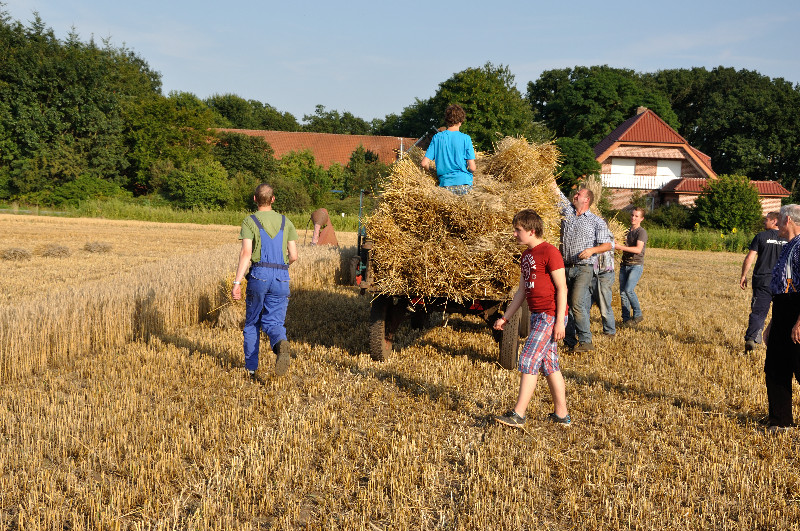 D90_20150803_41392