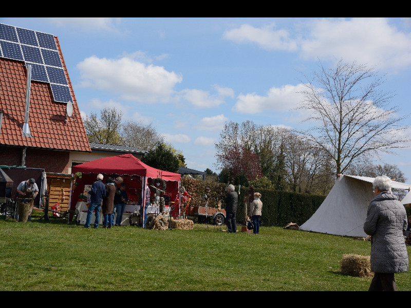 DSC_0931.jpg