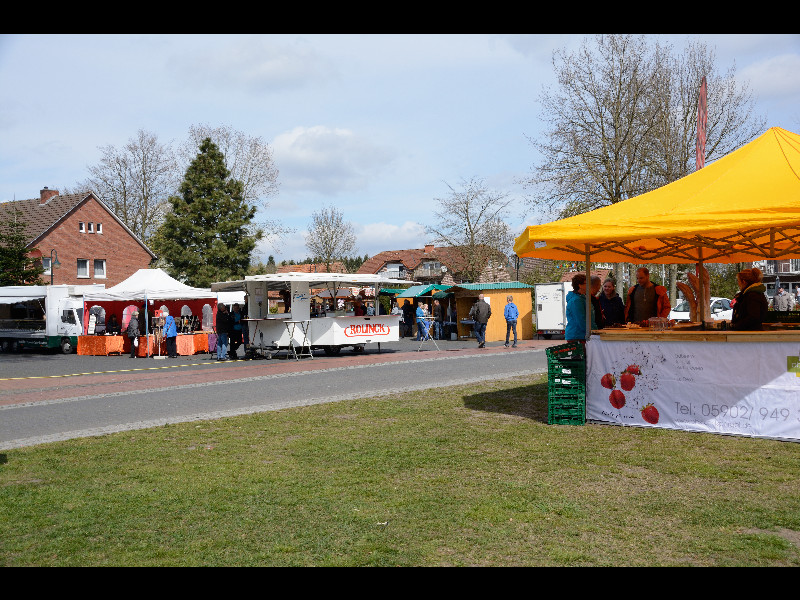 DSC_0933.jpg