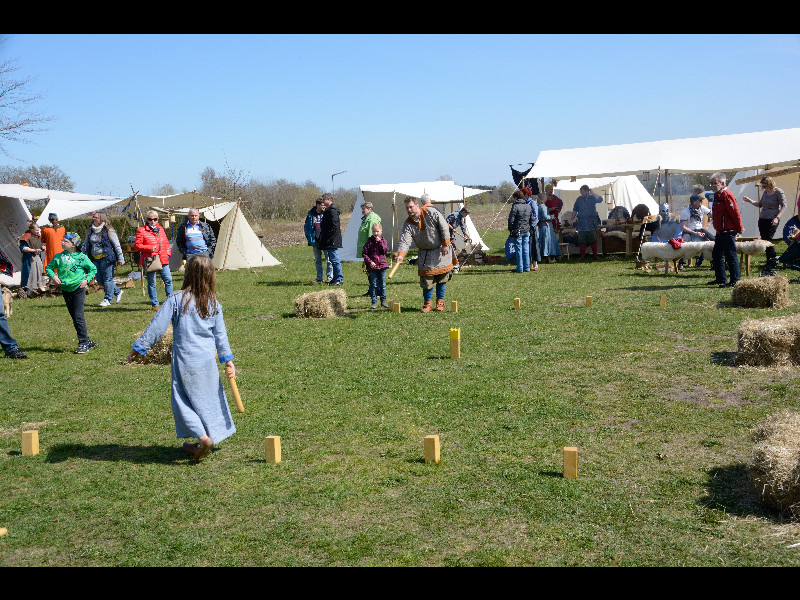 DSC_0975.jpg