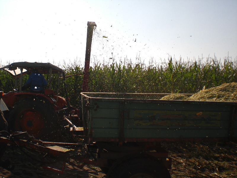 CIMG0795