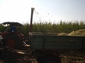 CIMG0795