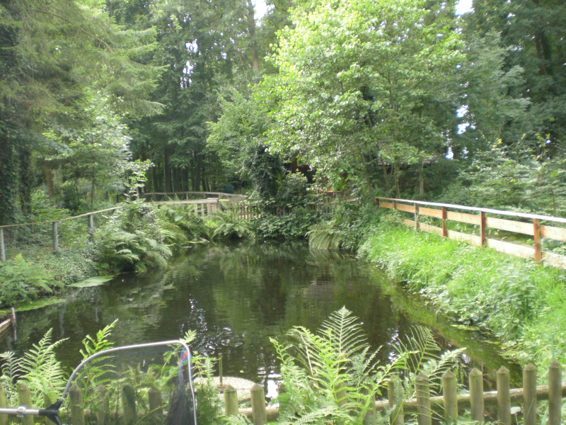 CIMG2979_01
