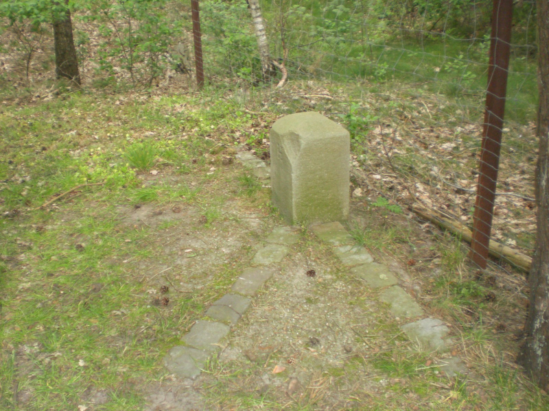 CIMG4465_01