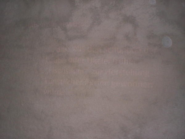 CIMG2006