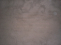 CIMG2006