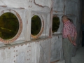 CIMG2008