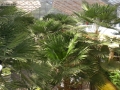 CIMG2012